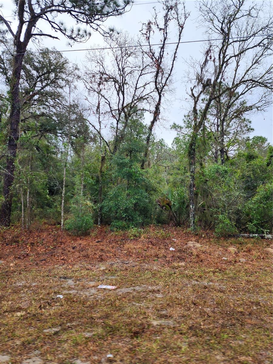 Image 3 of 6 For 7360 Dunnellon Road