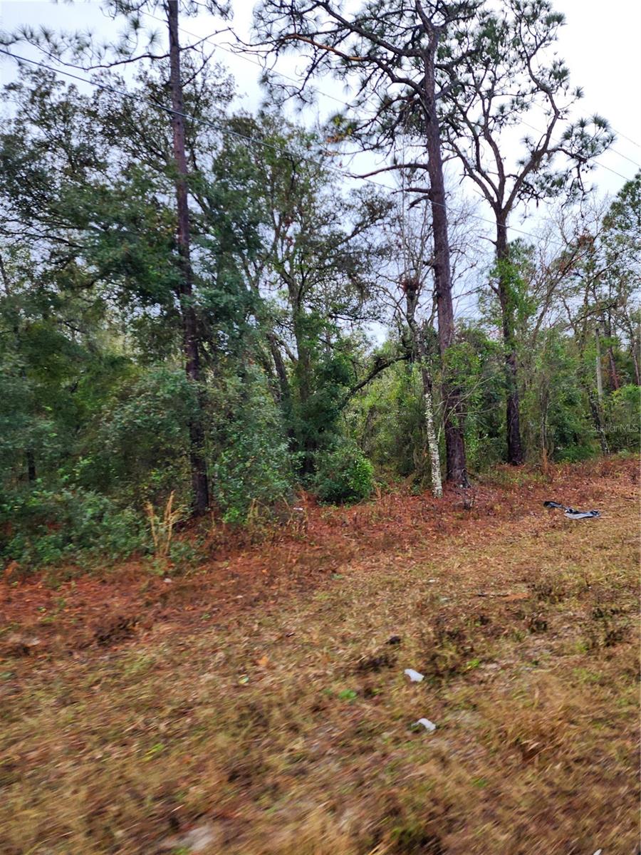 Image 4 of 6 For 7360 Dunnellon Road