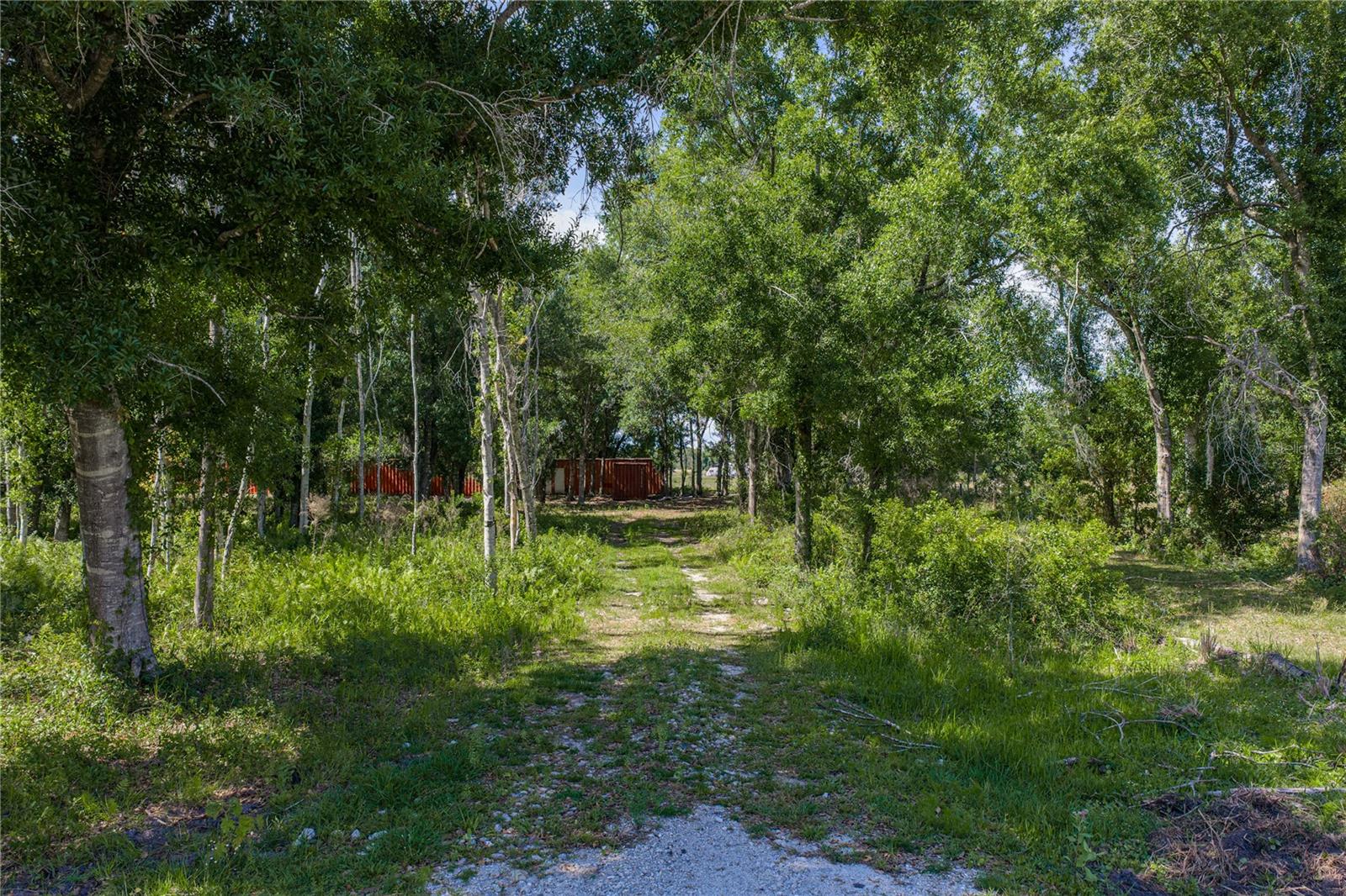Image 14 of 46 For 42655 State Road 64 E