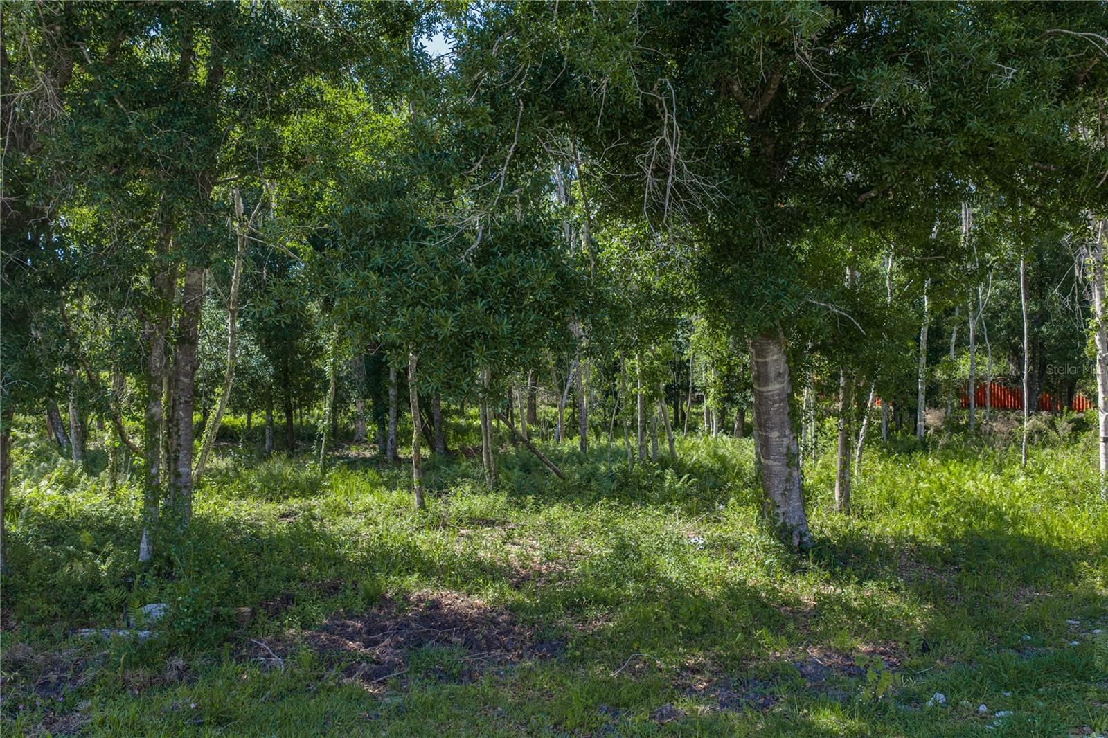 Image 15 of 46 For 42655 State Road 64 E