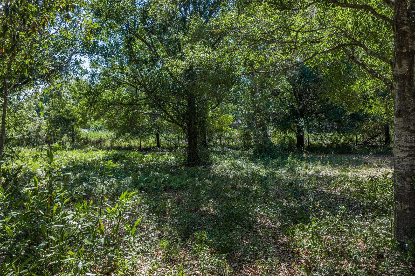 Image 16 of 46 For 42655 State Road 64 E
