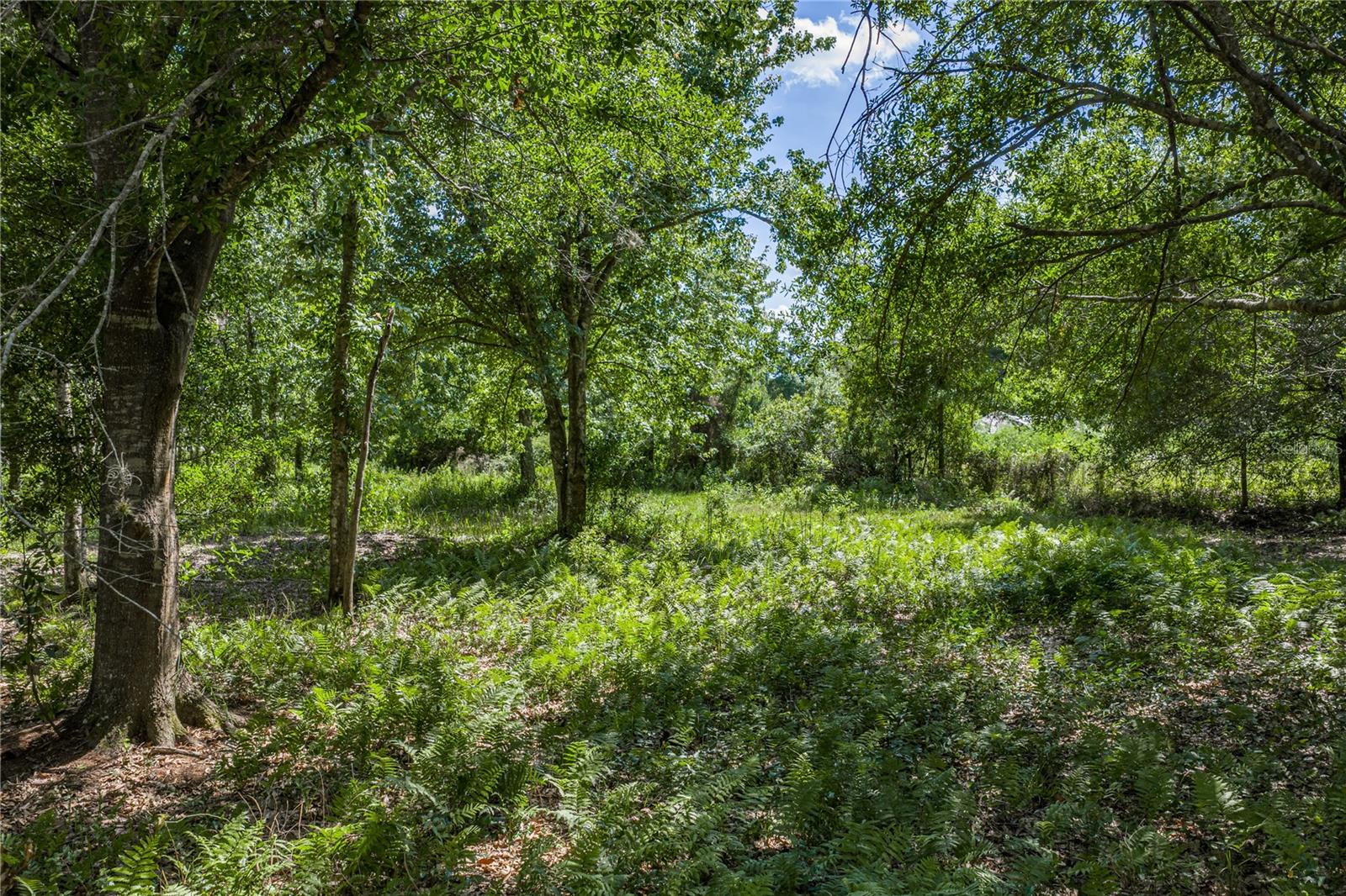 Image 17 of 46 For 42655 State Road 64 E
