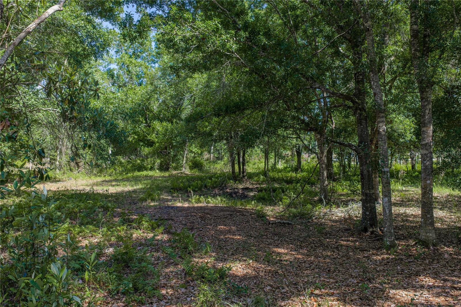 Image 18 of 46 For 42655 State Road 64 E