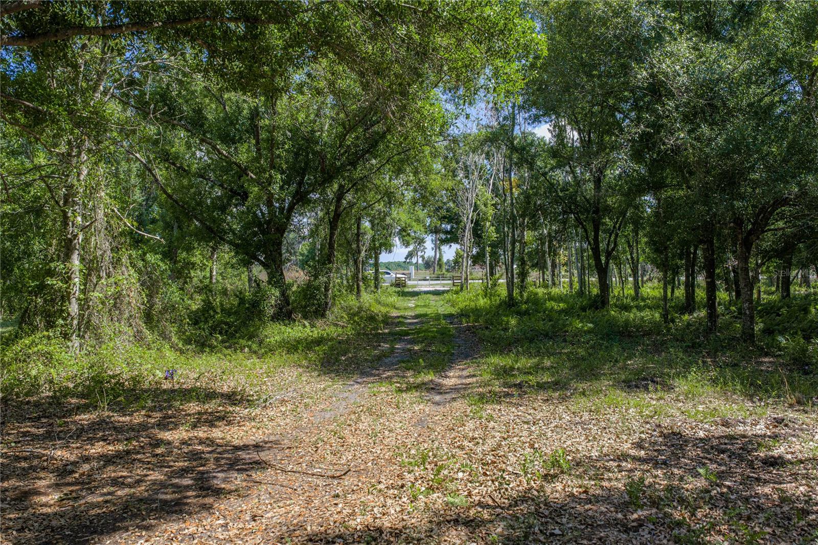 Image 4 of 46 For 42655 State Road 64 E