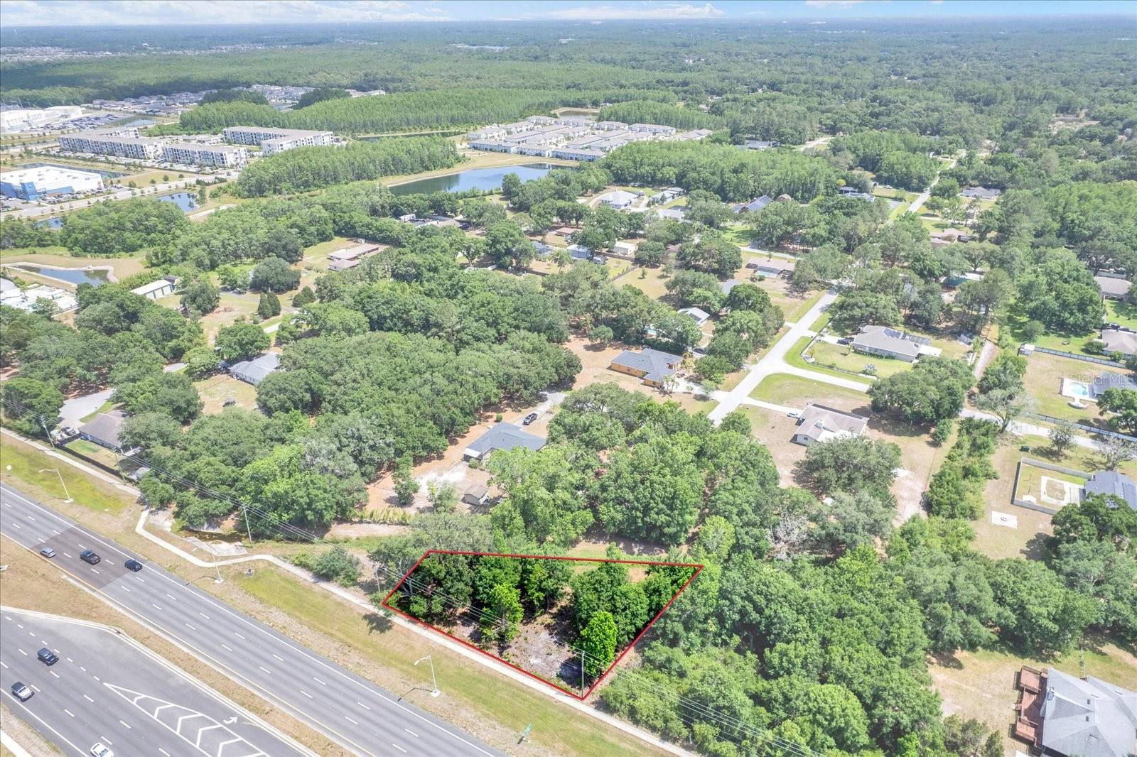 Details for State Road 54, LUTZ, FL 33558