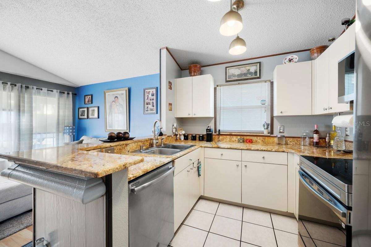 Image 5 of 20 For 13132 Carrollwood Creek Drive