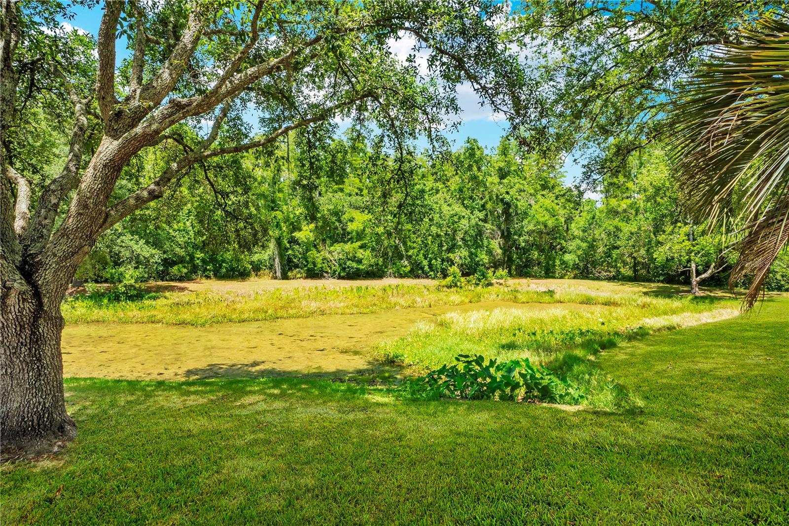 Image 45 of 53 For 11230 Elmfield Drive