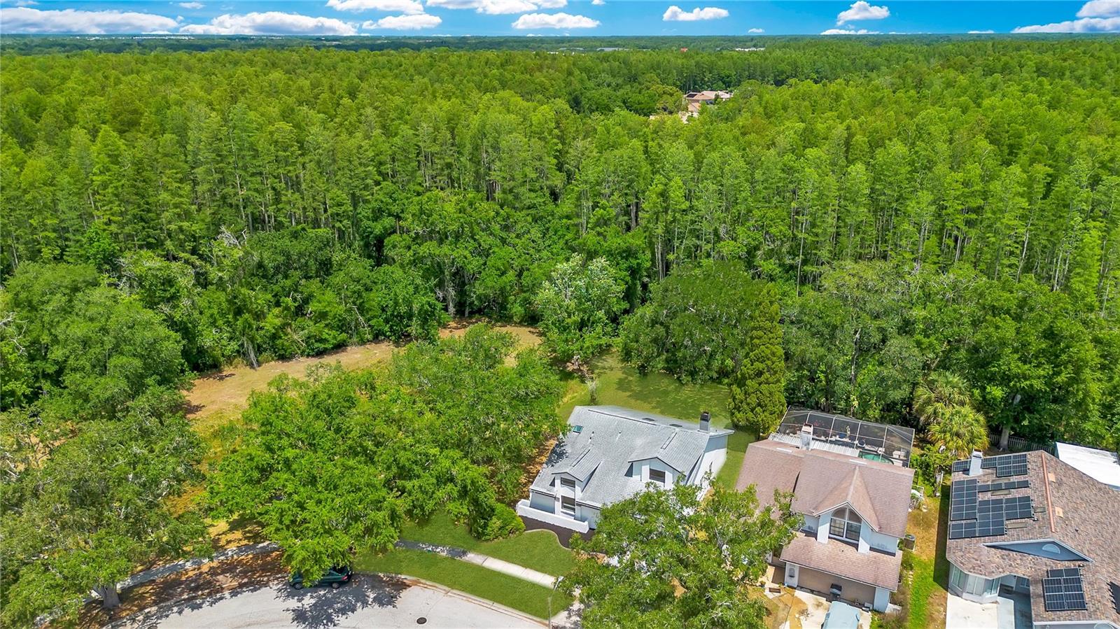 Image 47 of 53 For 11230 Elmfield Drive