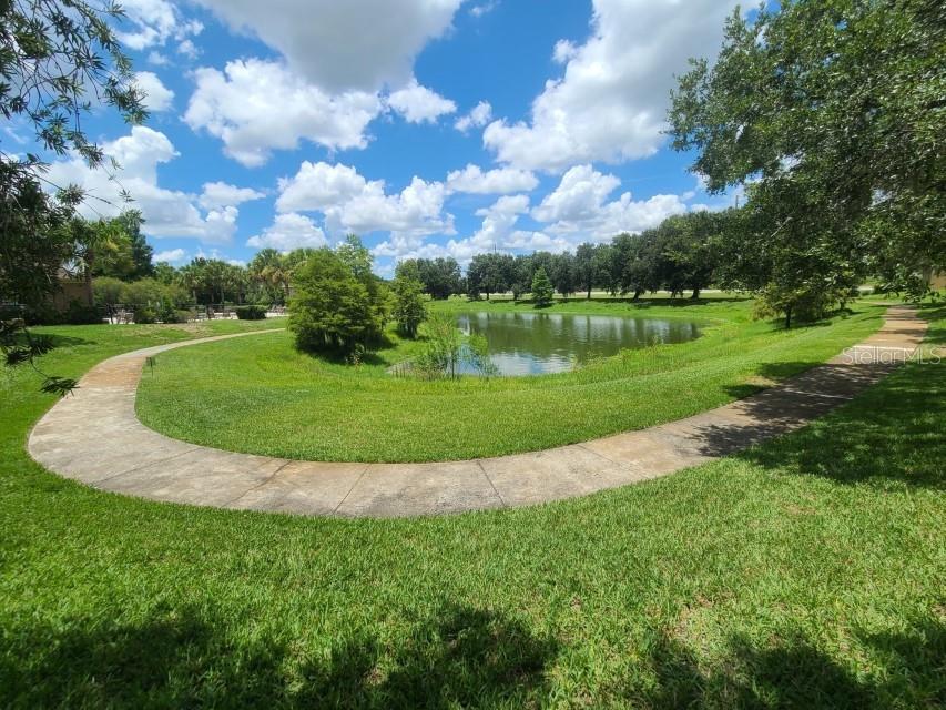 Image 27 of 43 For 36243 Lake Chase Boulevard 203
