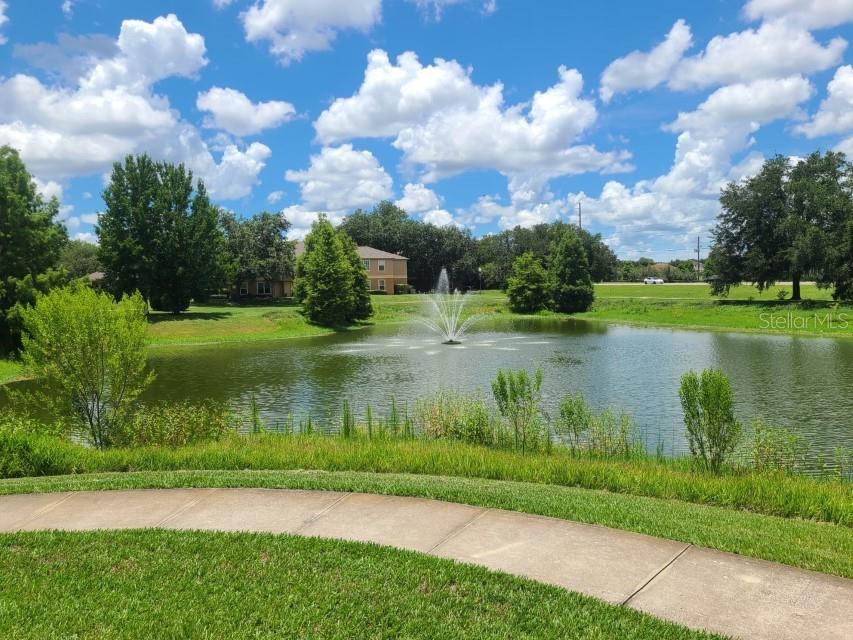 Image 28 of 43 For 36243 Lake Chase Boulevard 203