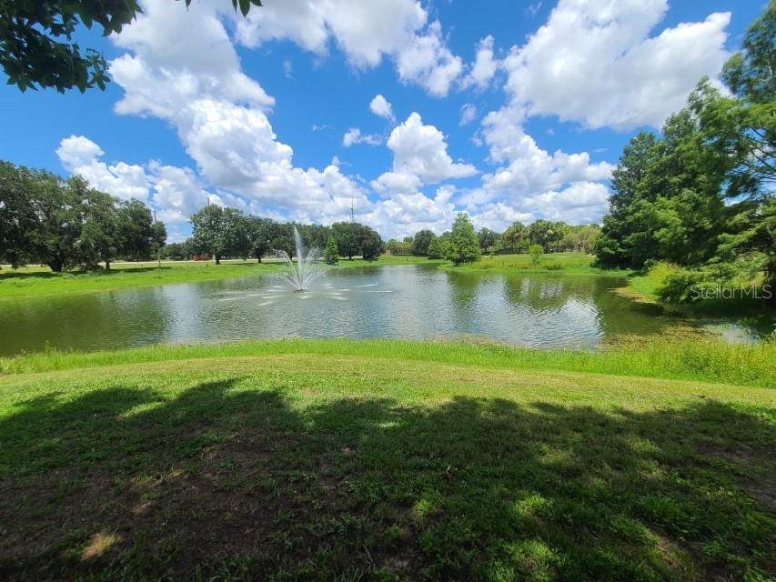 Image 29 of 43 For 36243 Lake Chase Boulevard 203