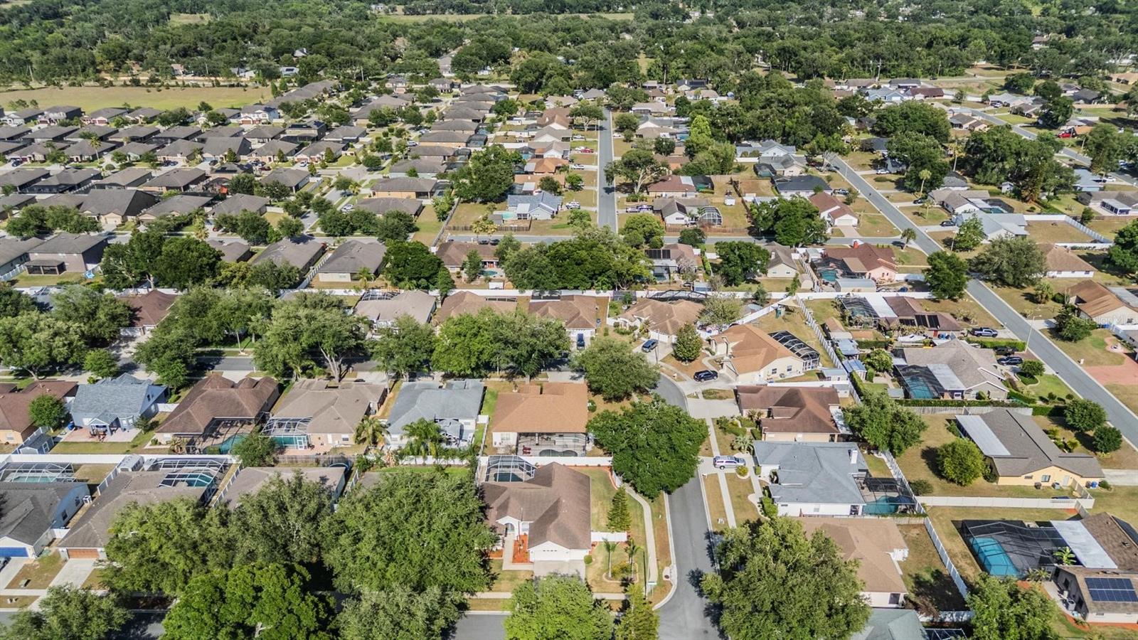 Image 40 of 49 For 1821 Palm Ridge Place