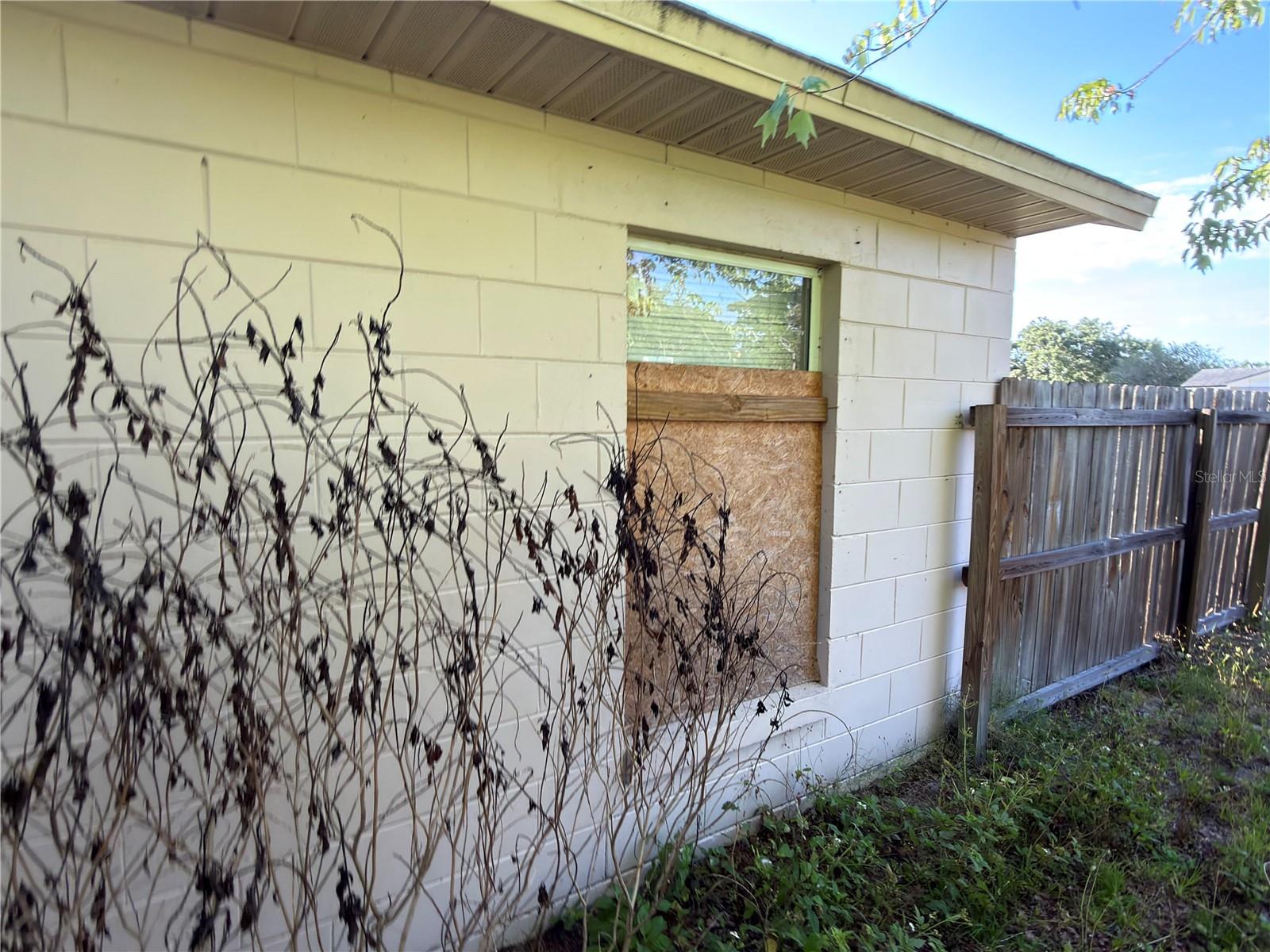 Image 4 of 24 For 3002 Colorado Avenue