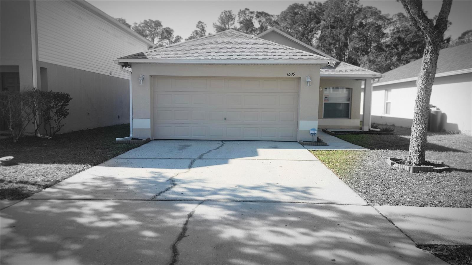 Details for 6535 Tabogi Trail, WESLEY CHAPEL, FL 33544