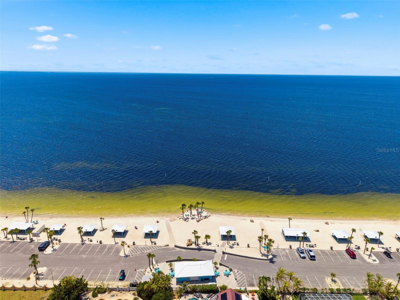Image 2 of 63 For 4939 Floramar Terrace 501