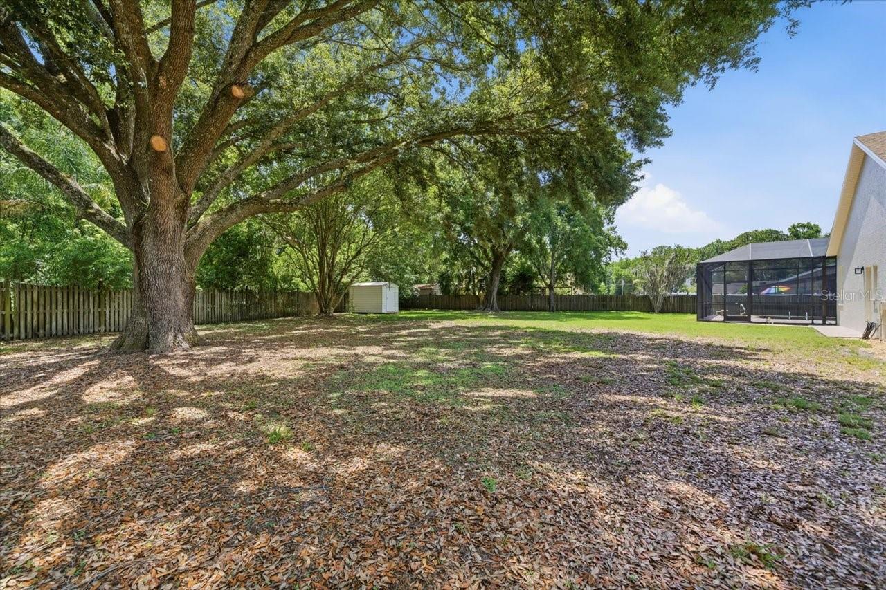 Listing photo id 1 for 3902 Meadowlark Court