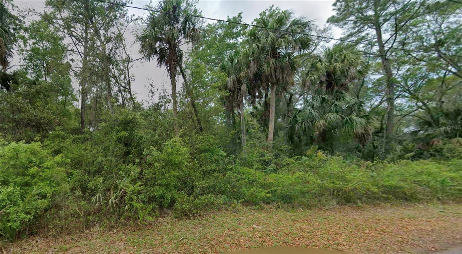 Listing Details for 11148 Cedar Lake Drive, CRYSTAL RIVER, FL 34428