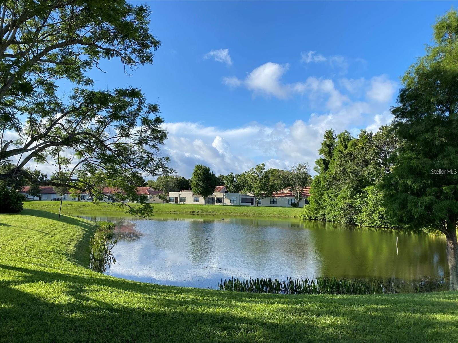 Details for 9009 41st Way N 5, PINELLAS PARK, FL 33782