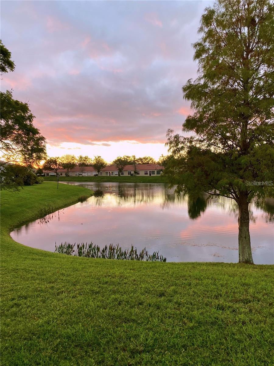 Image 11 of 92 For 9009 41st Way N 5