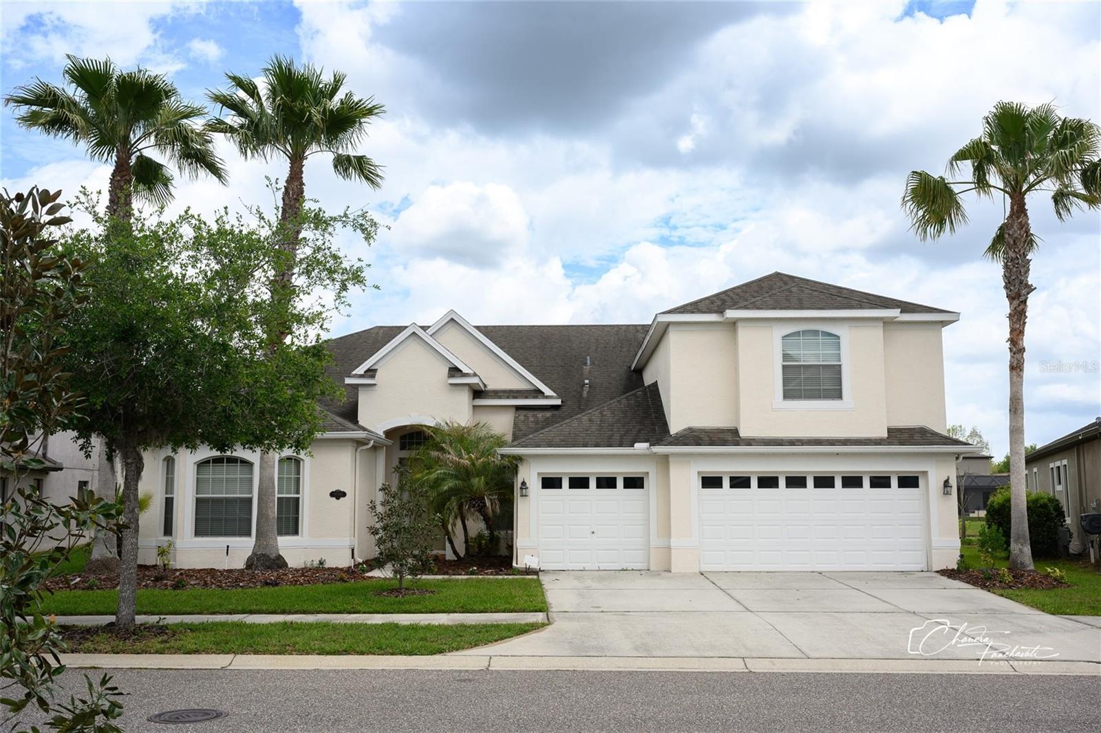 Details for 19305 Yellow Clover Drive, TAMPA, FL 33647