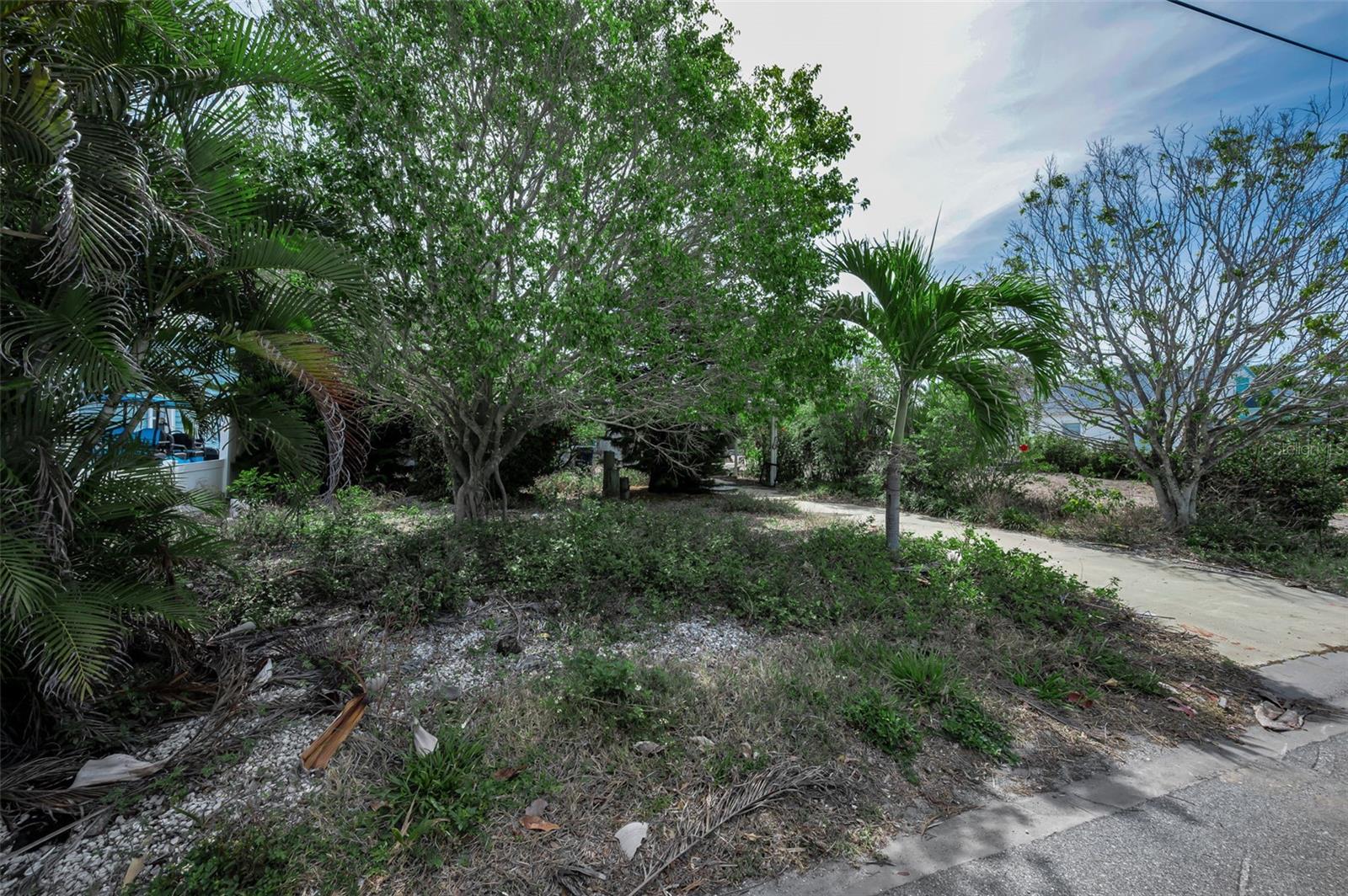 Image 15 of 22 For 1213 Bay Palm Boulevard