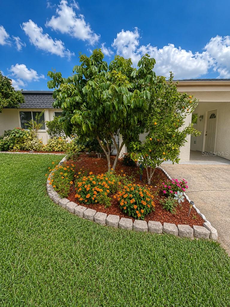 Image 72 of 73 For 2588 Forest Run Court 106a