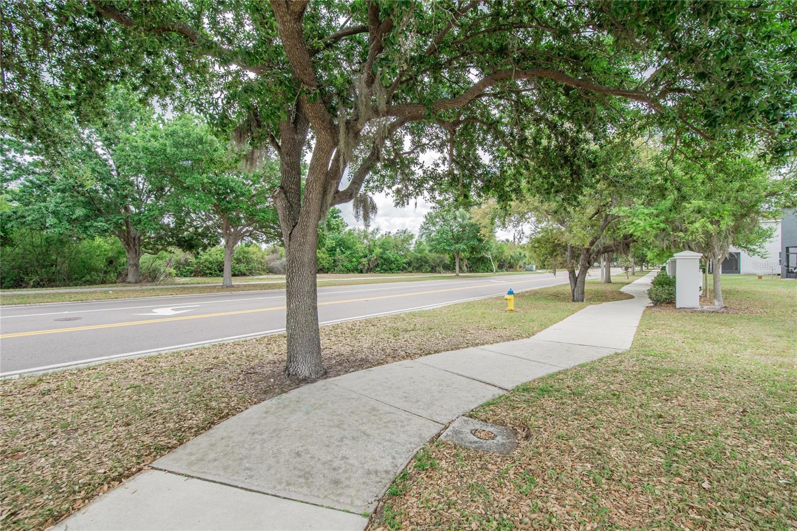 Image 64 of 66 For 6936 Breezy Palm Drive
