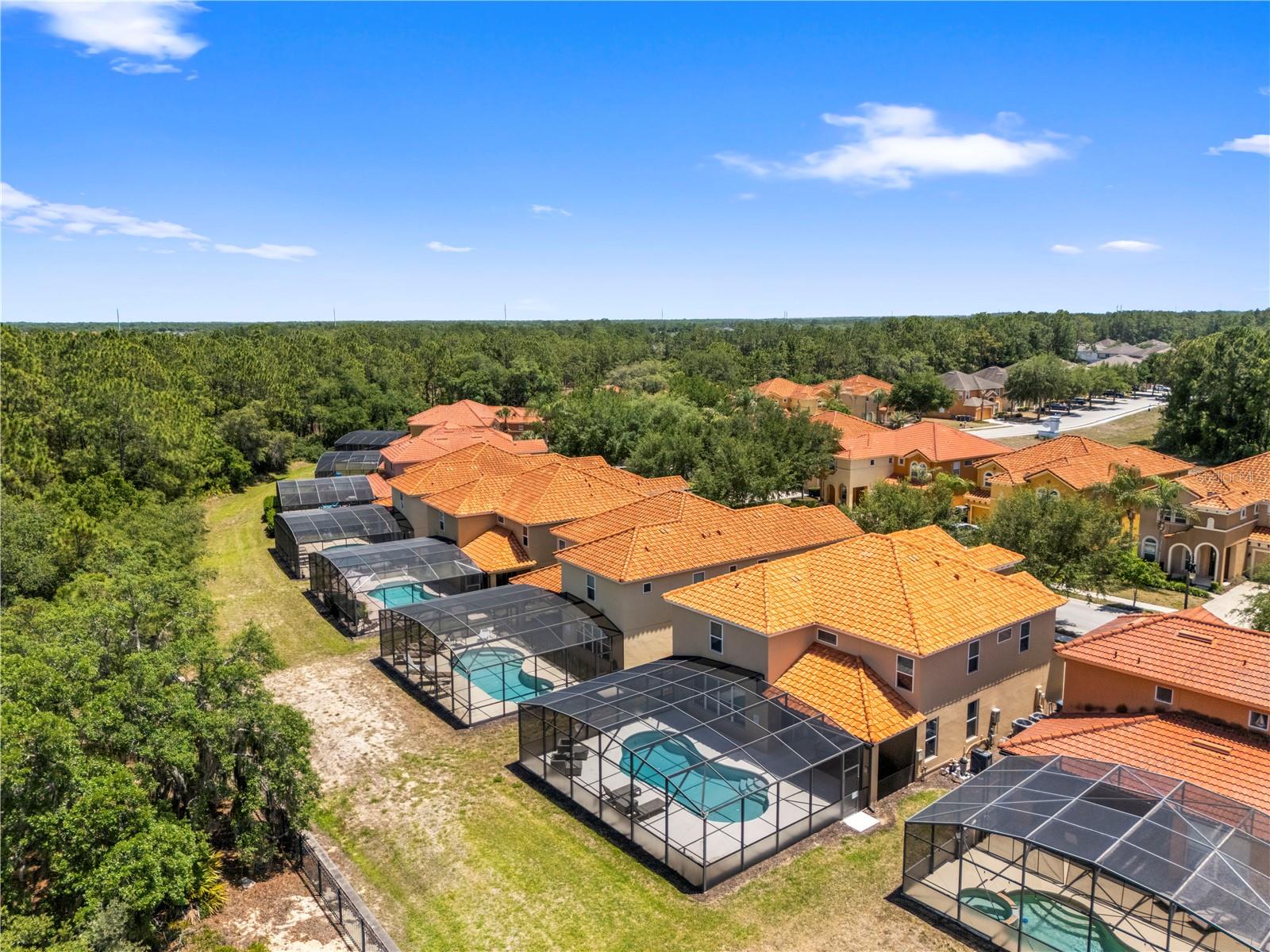Image 65 of 69 For 436 Orange Cosmos Boulevard
