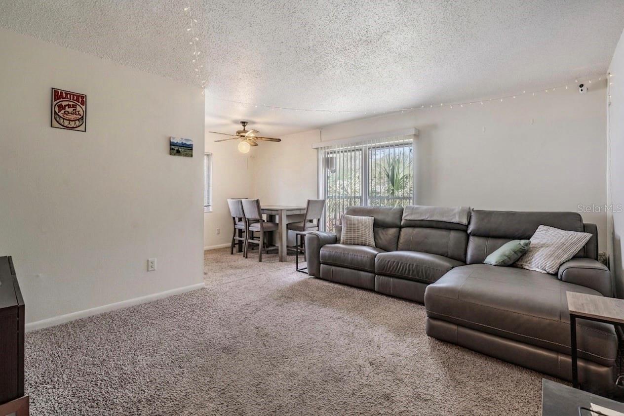 Image 24 of 38 For 2109 De Leon Street
