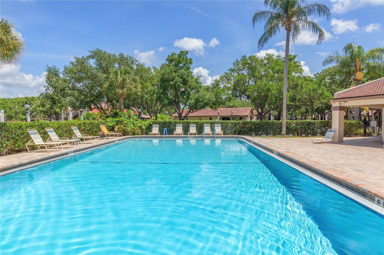 Image 33 of 38 For 3446 Tarpon Woods Boulevard