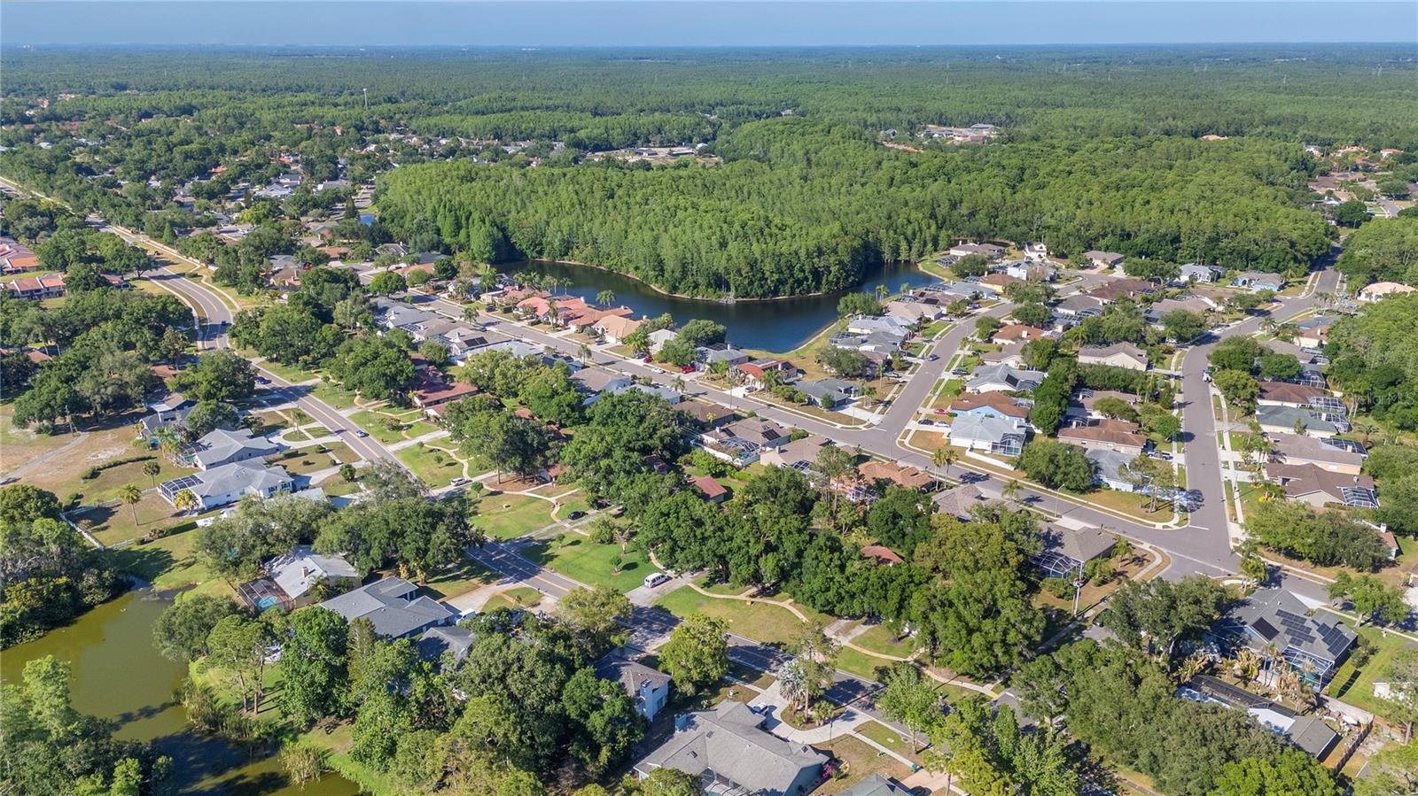 Image 36 of 38 For 3446 Tarpon Woods Boulevard