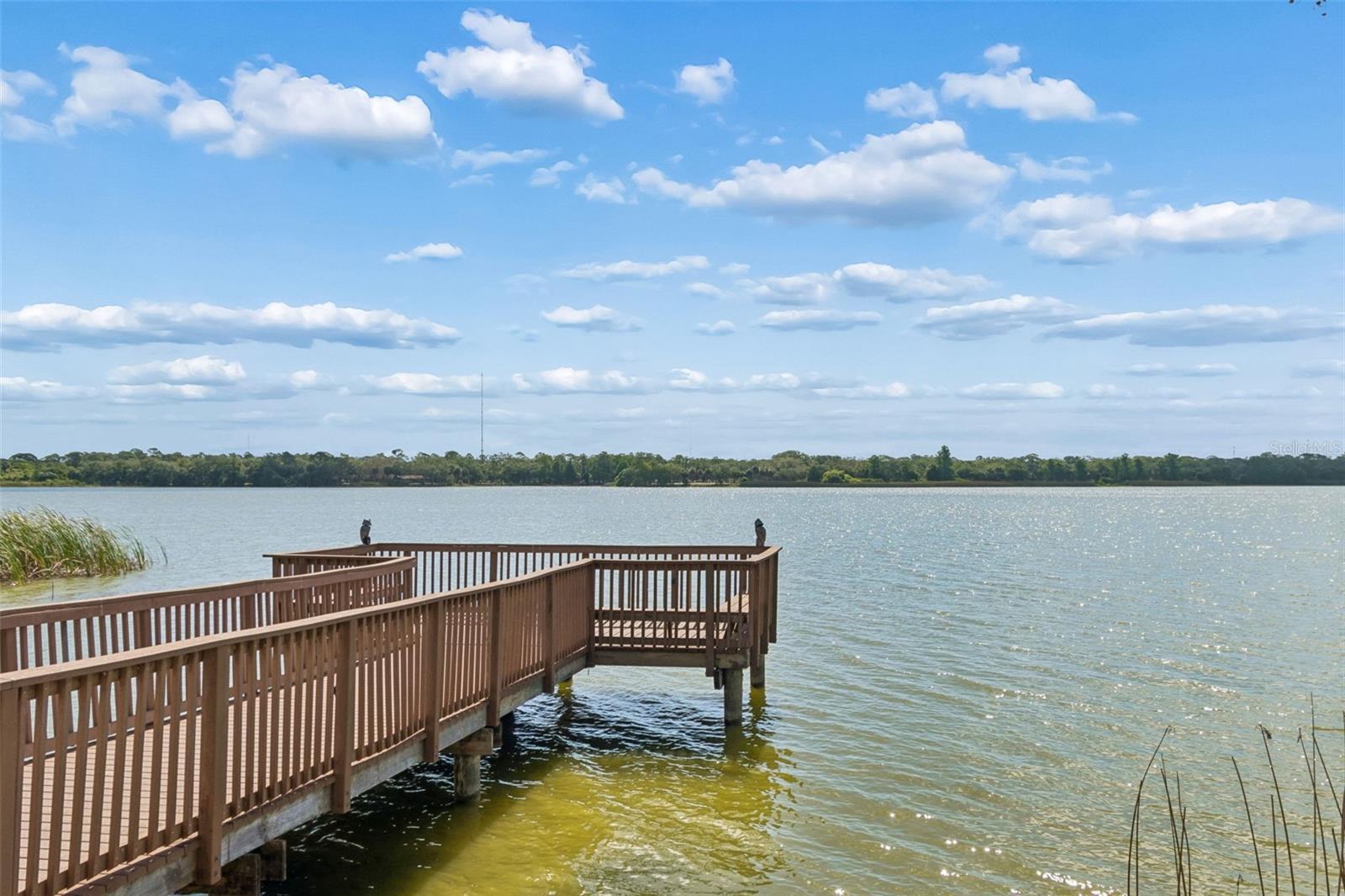 Details for 7903 Seminole Boulevard 2401, SEMINOLE, FL 33772