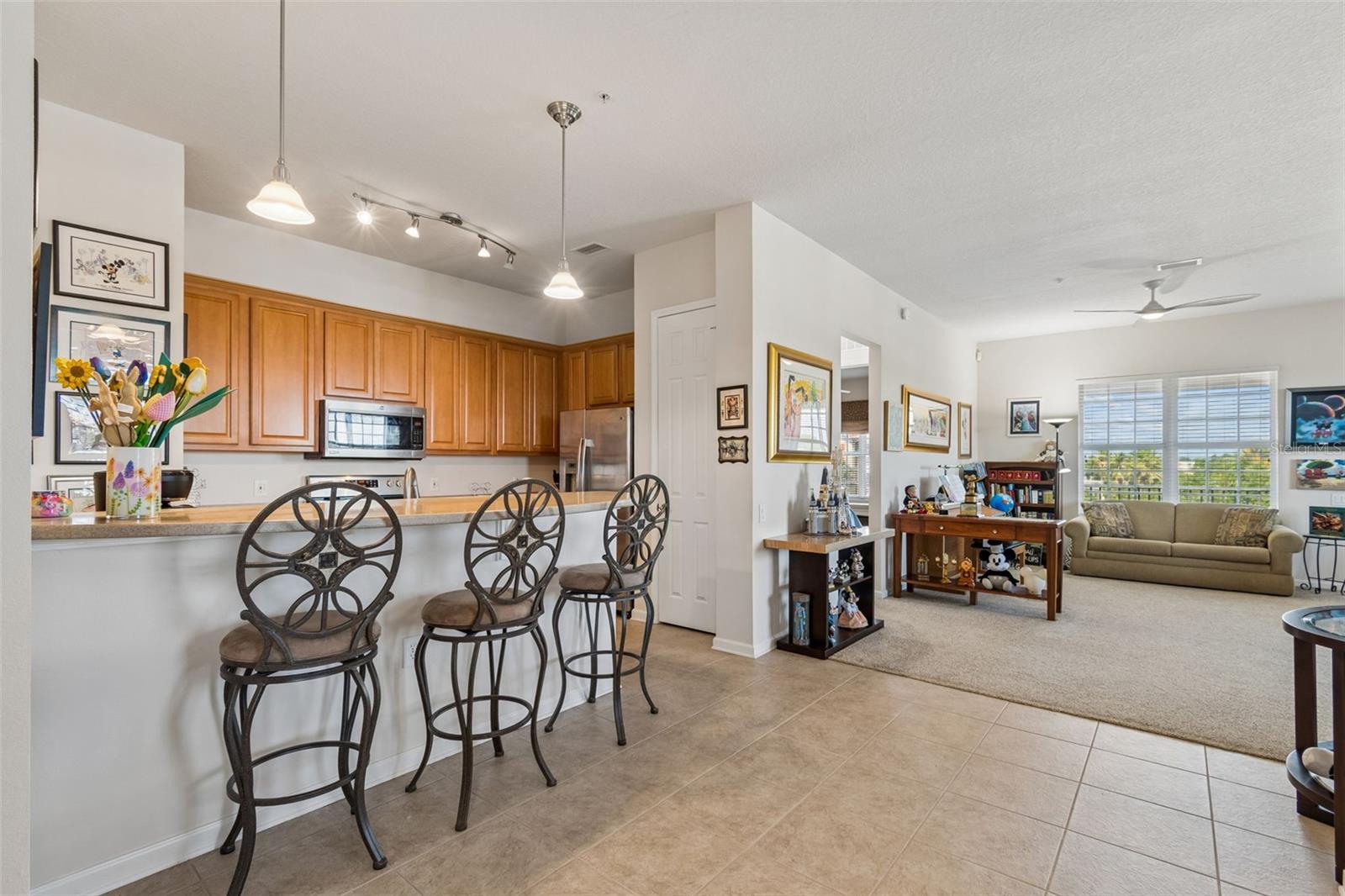 Image 16 of 85 For 7903 Seminole Boulevard 2401