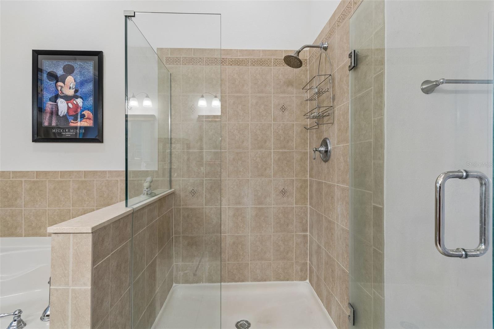 Image 30 of 85 For 7903 Seminole Boulevard 2401