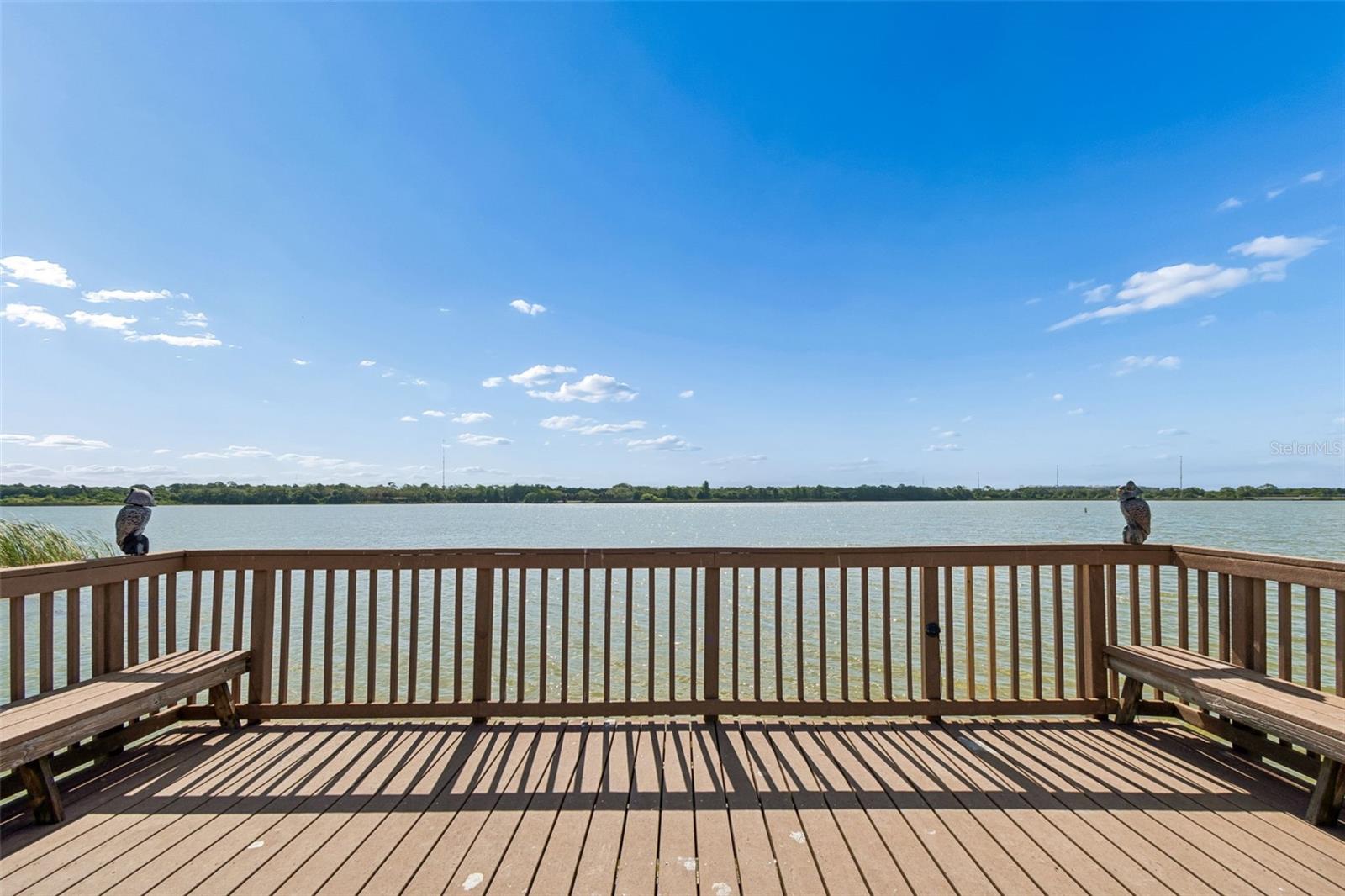 Image 73 of 85 For 7903 Seminole Boulevard 2401