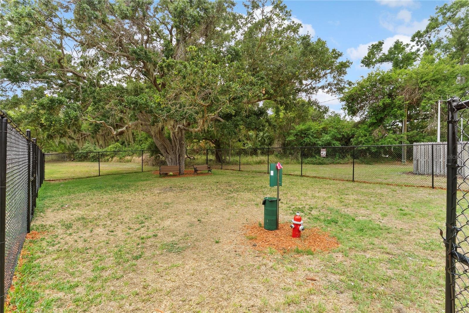 Image 28 of 31 For 9426 Star Gazer Lane