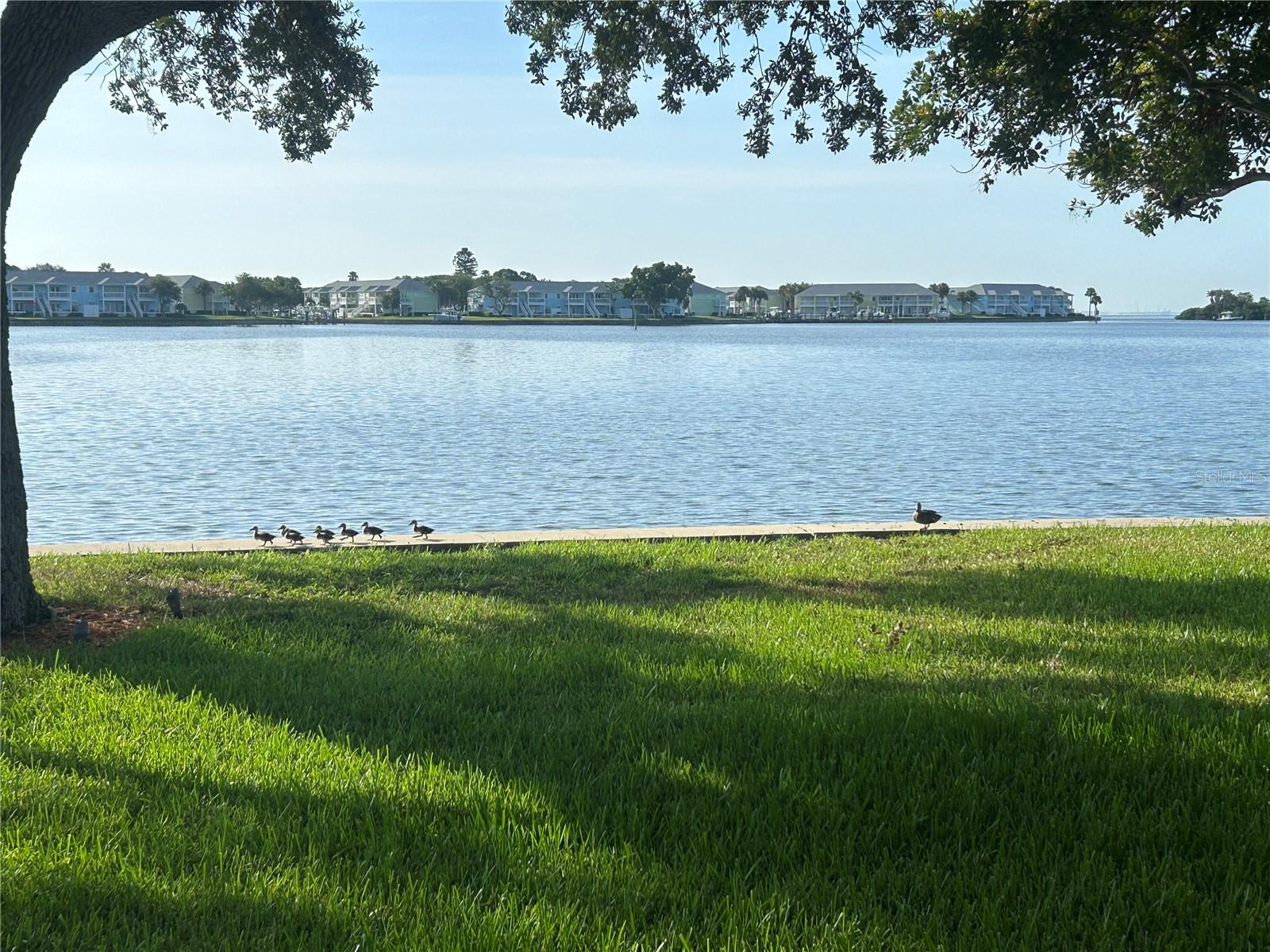Image 11 of 22 For 4838 Paradise Way S
