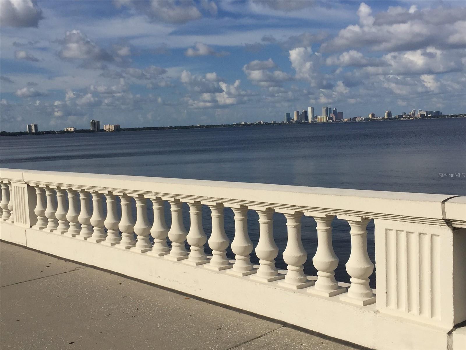 Image 20 of 21 For 5300 Bayshore Boulevard A5
