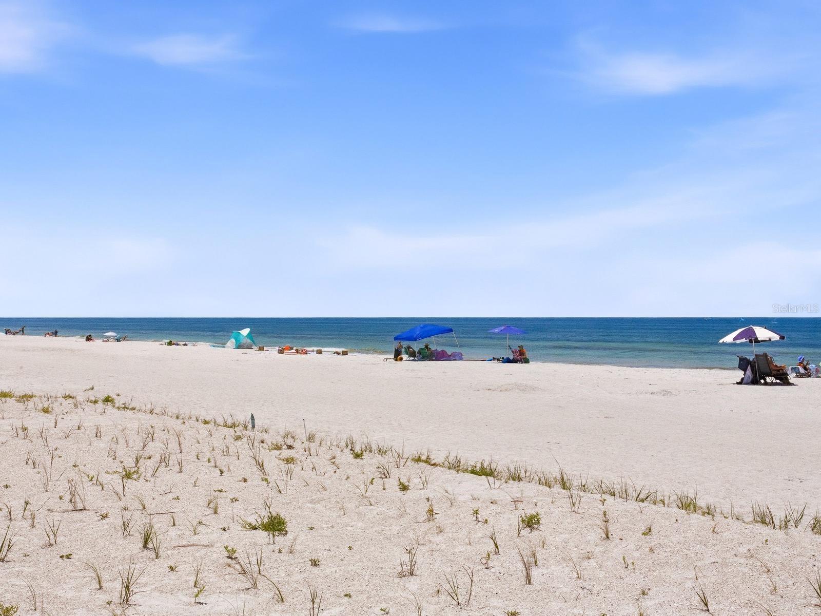 Image 49 of 70 For 1005 Gulf Boulevard 10