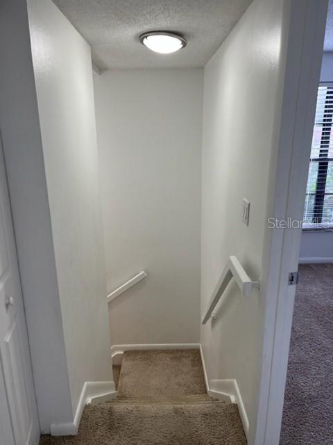 Image 13 of 18 For 11365 Brookgreen Drive