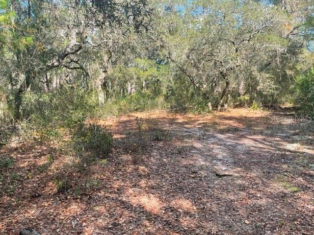 Details for 9345 195th Avenue, OCKLAWAHA, FL 32179