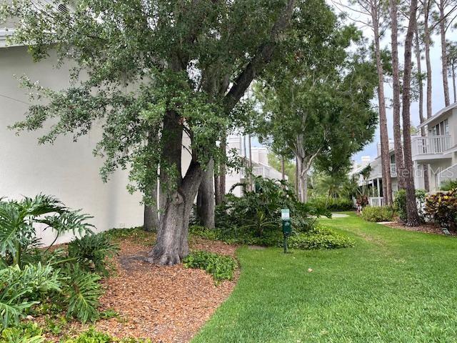 Image 28 of 30 For 5112 Bayshore Boulevard