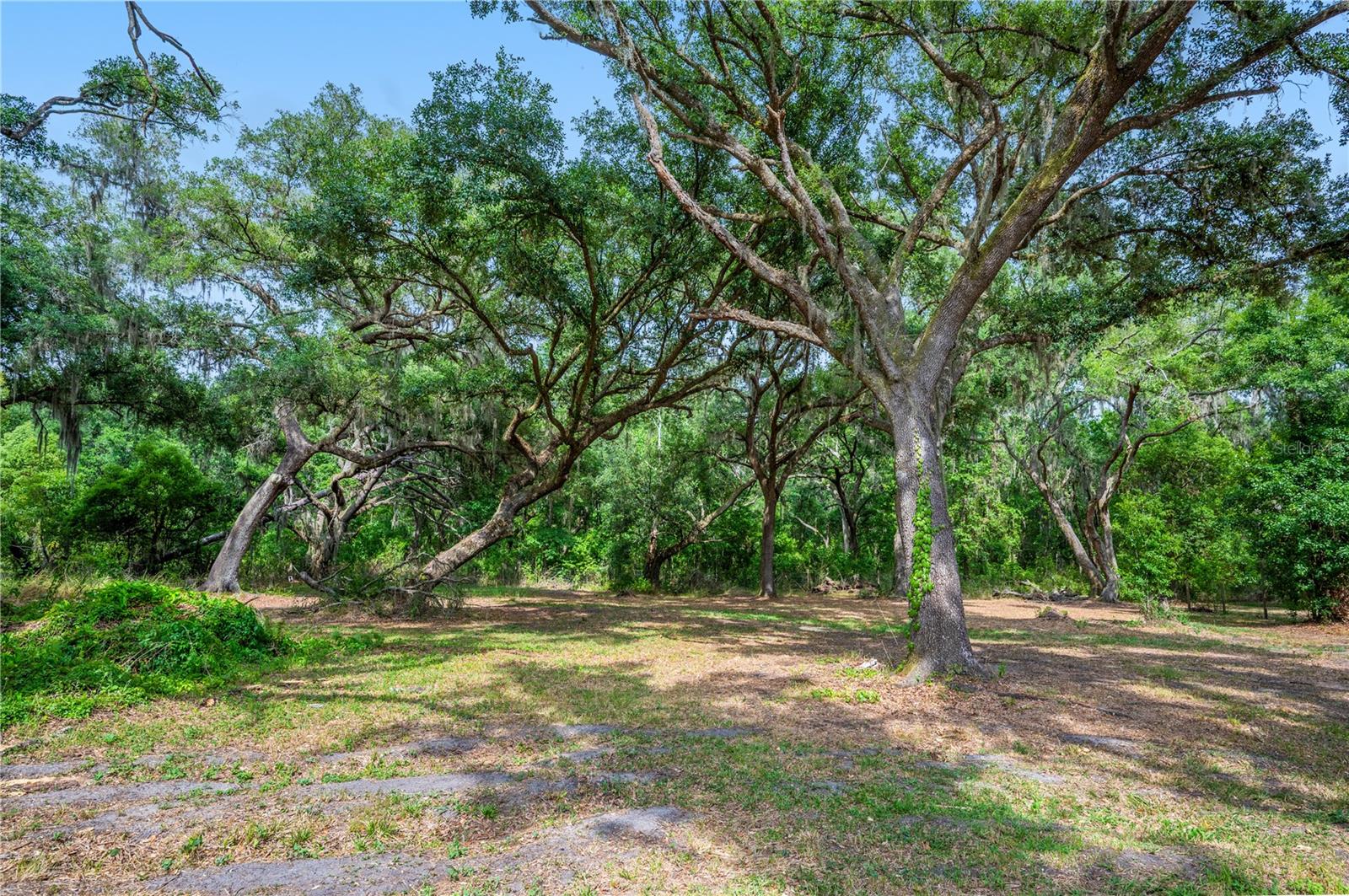 Image 50 of 67 For 4314 Strauss Road