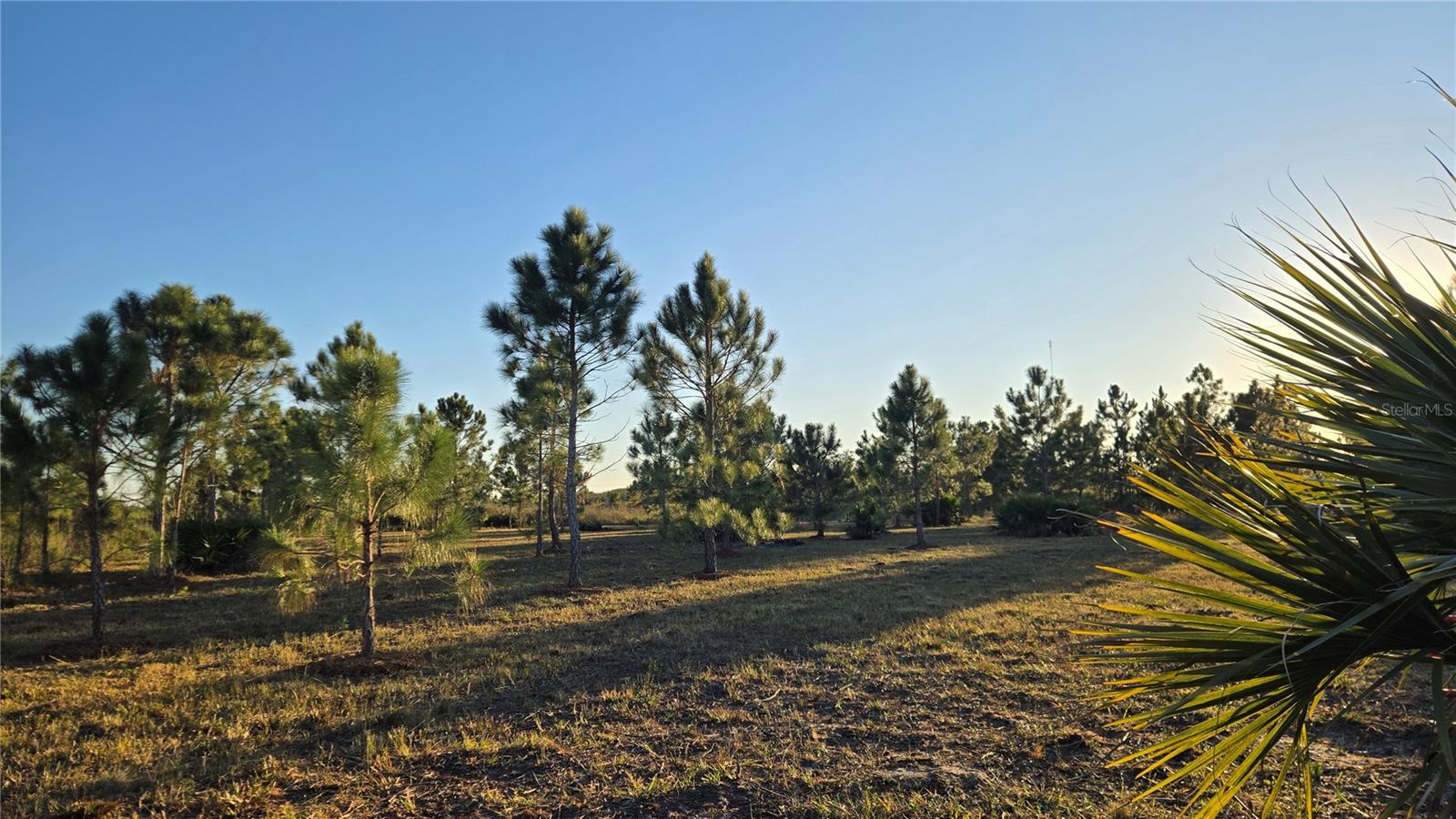 Image 2 of 12 For 17718 266th Street