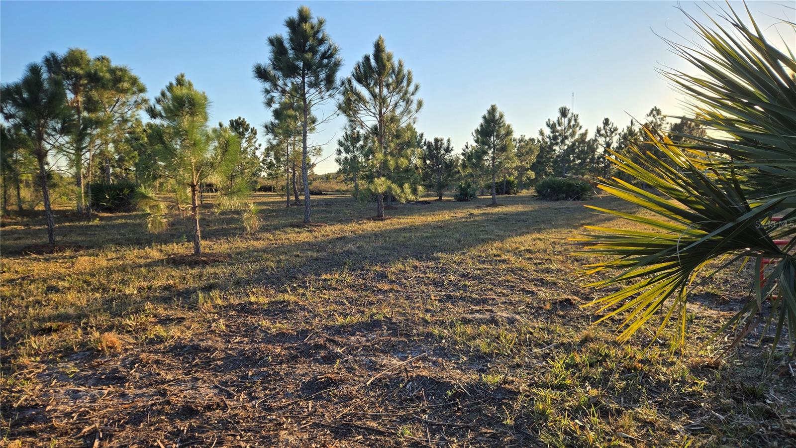 Image 3 of 12 For 17718 266th Street