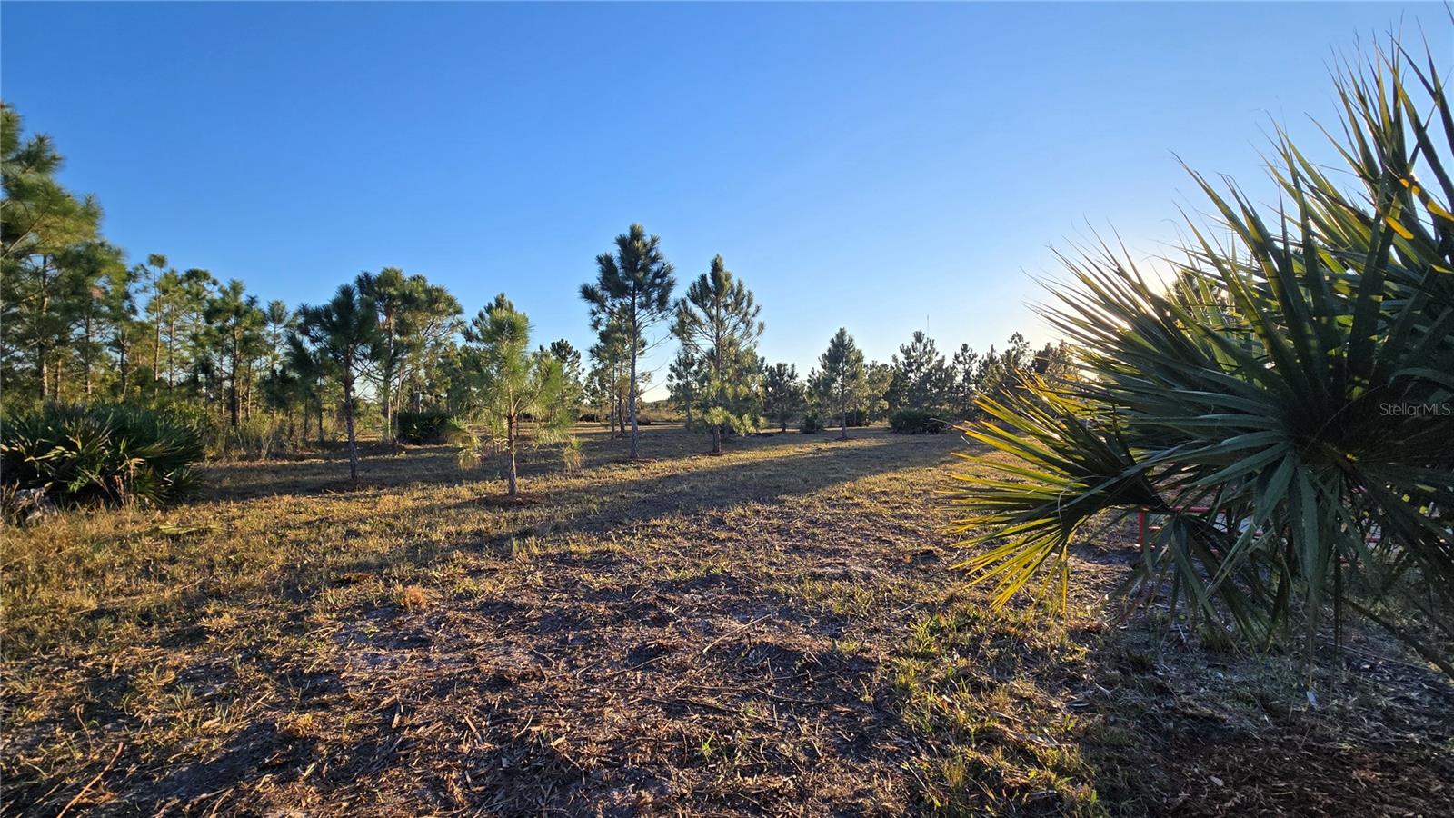 Image 4 of 12 For 17718 266th Street