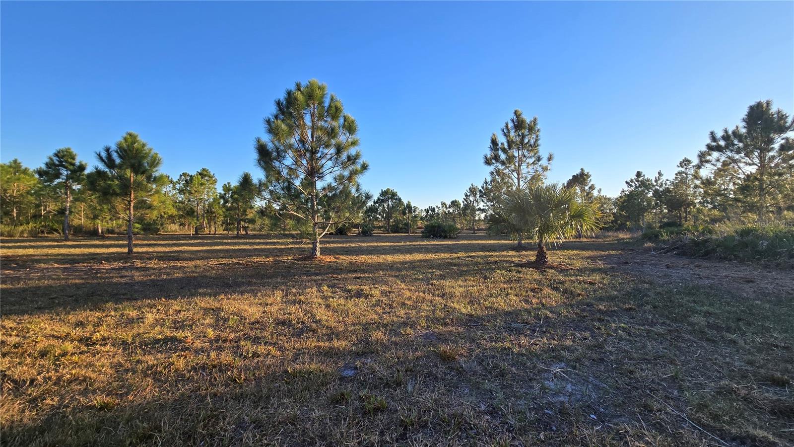 Image 6 of 12 For 17718 266th Street