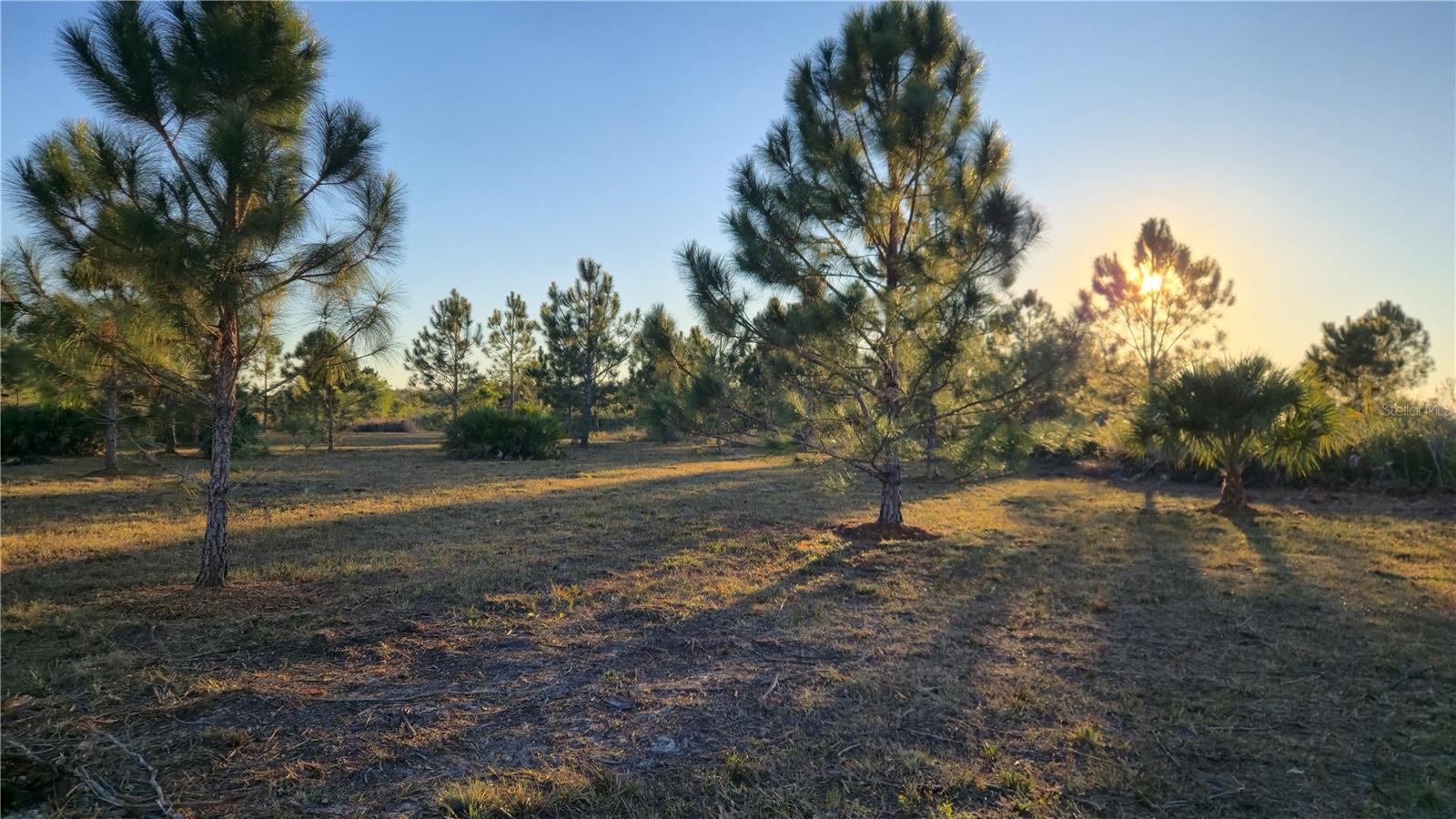 Image 7 of 12 For 17718 266th Street