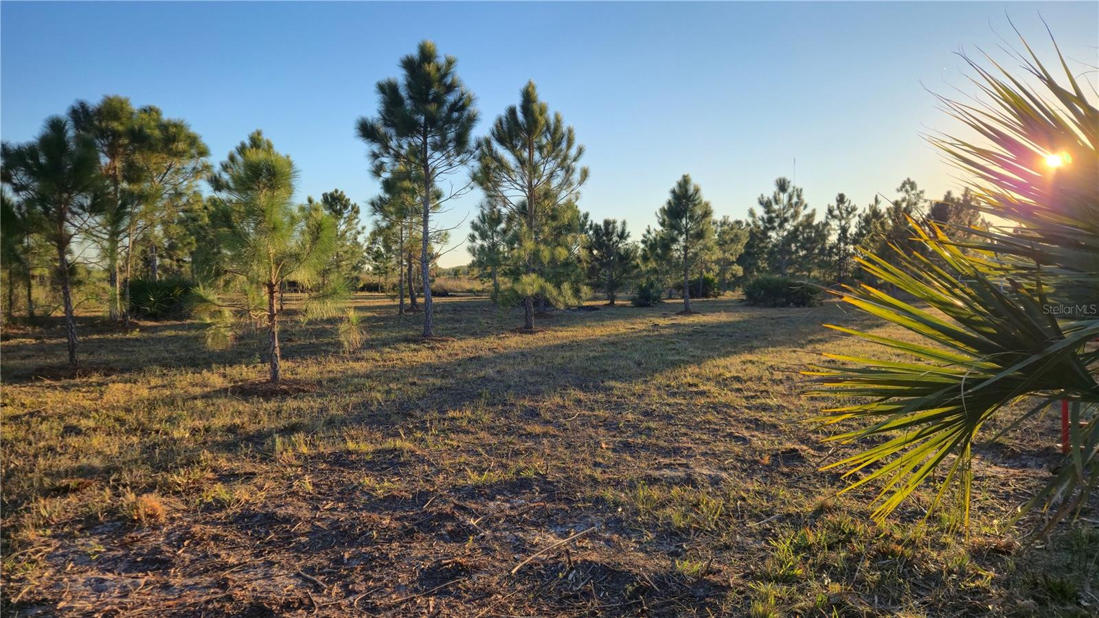 Image 8 of 12 For 17718 266th Street