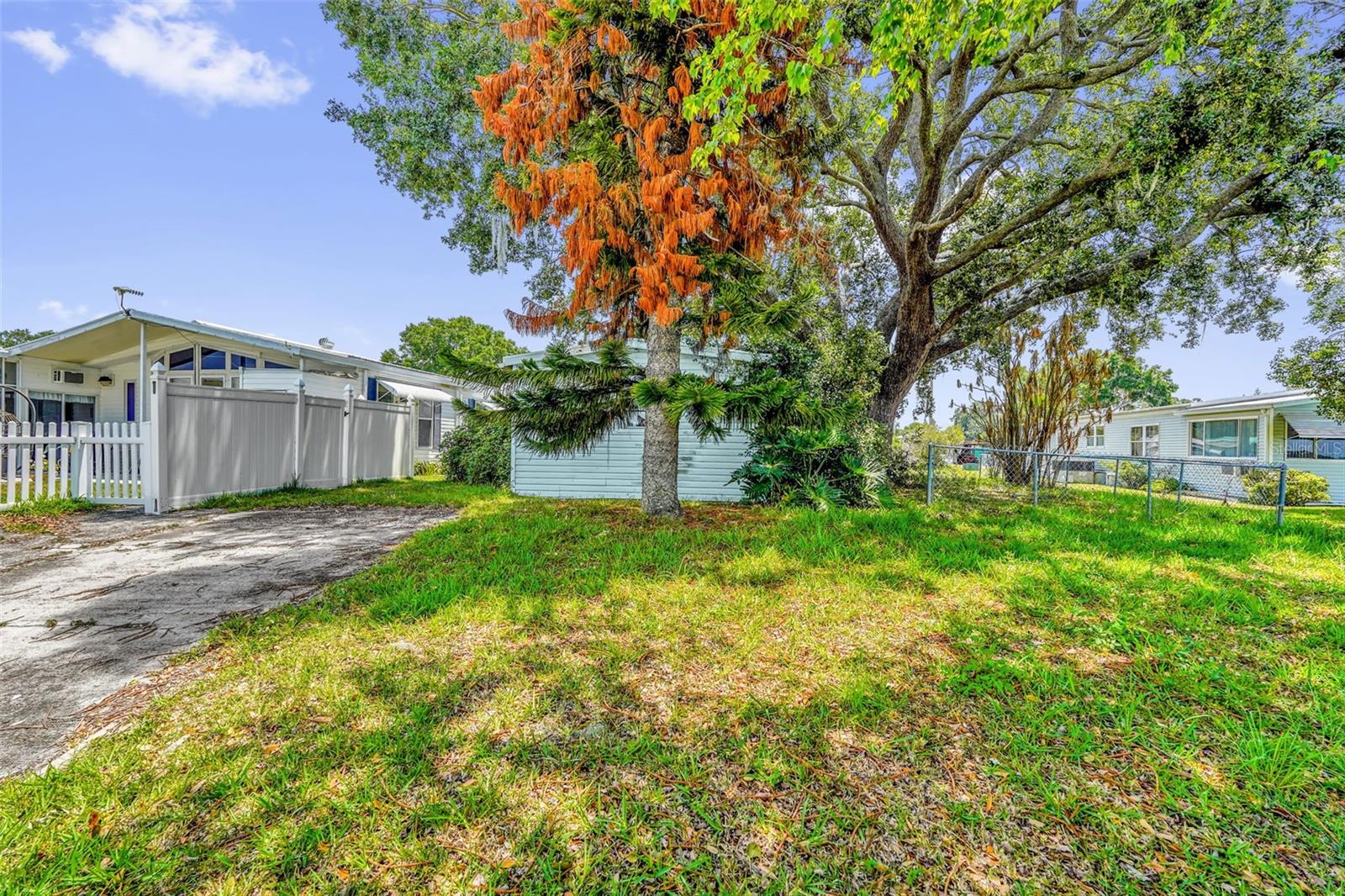 Image 12 of 20 For 2050 Thelma Drive